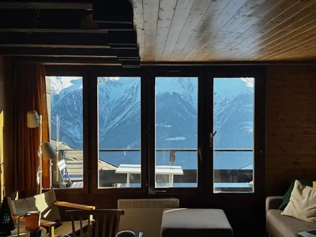 Ploetzli 公寓 贝特默阿尔卑